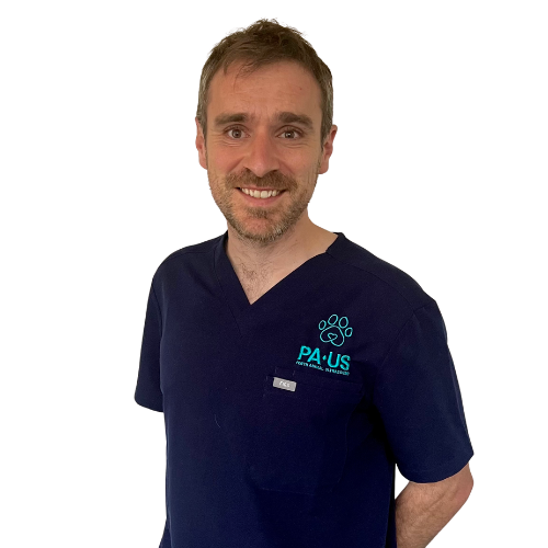 Dr. Rich Bella (Administrator)